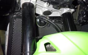 KAWASAKI NINJA ZX-6R A 2021 ZX636G