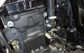 HONDA REBEL 250 2023 MC49