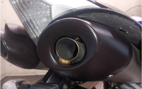 YAMAHA YZF-R1 2007 RN20
