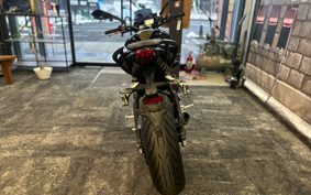 TRIUMPH STREET TRIPLE R LOW 2019 HDA434