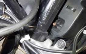 HUSQVARNA SVARTPILEN 401 2021