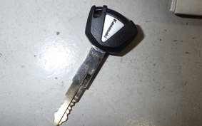 KAWASAKI KLX230SM LX232A