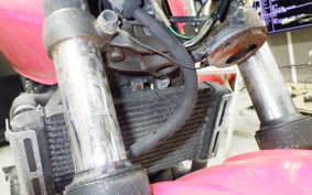 HONDA HORNET 250 MC31