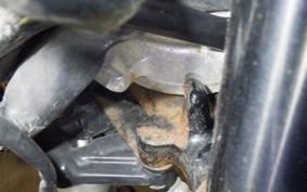 SUZUKI RG250 Gamma GJ21B