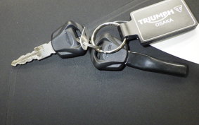 TRIUMPH TIGER 900 GT PRO 2024