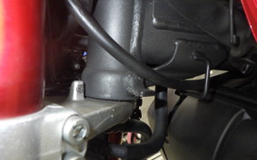 HONDA MONKEY 125 2024 JB03