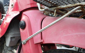 HONDA LITTLE CUB C50