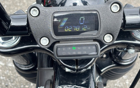 HARLEY FXBB 2020 YJJ