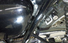 KAWASAKI W800 2025 EJ800E