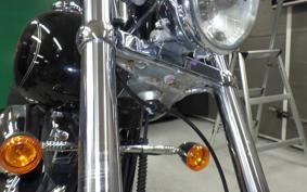 OTHER +HD. FXSTC1580 2010