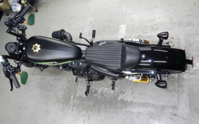 HARLEY XL1200X 2019