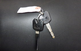 KAWASAKI NINJA 250 EX250L