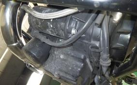 DUCATI SCRAMBLER 1100 SPA 2019