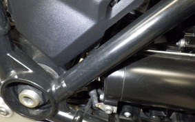 BMW R1250R 2019