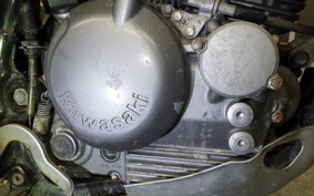 KAWASAKI SUPER SHERPA 2026 KL250G