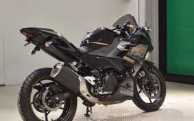 KAWASAKI NINJA 250 2020 EX250P