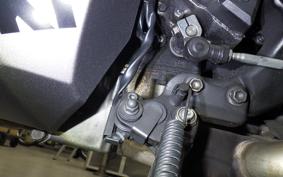 KAWASAKI NINJA 1000 A 2019 ZXT00W