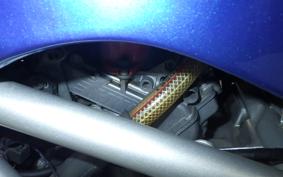 YAMAHA TRX850 1999 4NX