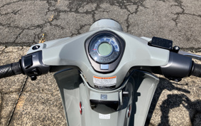 HONDA  SUPER CUB C125 JA71