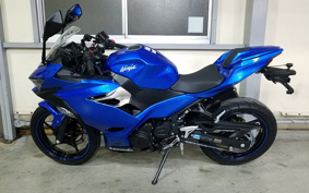 KAWASAKI Ninja 250 ABS EX250P