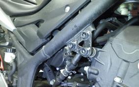 YAMAHA MT-25 RG43J