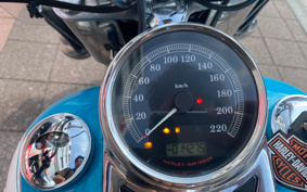 HARLEY FLSTC 2017 BWV