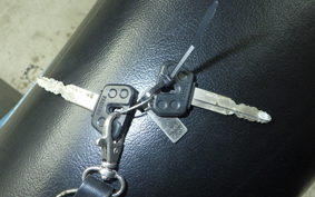 YAMAHA TRICKER DG10J