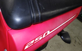 YAMAHA YZF-R25 RG10J