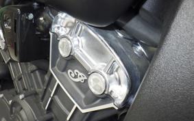 INDIAN Scout bobber 2021