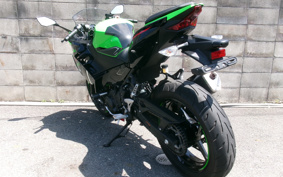 KAWASAKI NINJA 250 KRT ED EX250P