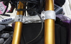 TRIUMPH STREET TRIPLE