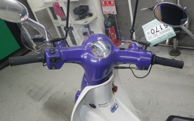 HONDA C110 SUPER CUB 2007 JA07