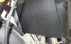 TRIUMPH TIGER 660 SPORTS 2025