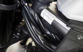 YAMAHA MT-25 A RG95J