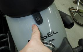 HONDA REBEL 250 A MC49