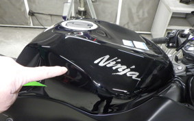 KAWASAKI NINJA ZX-6R A 2025 ZX636J