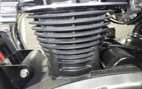 KAWASAKI W800 2016 EJ800A