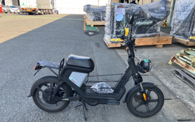 BENELLI GOCCIA GEV600