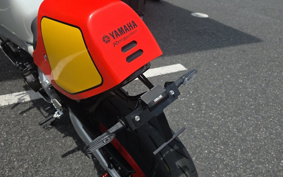 YAMAHA XSR900 GP 2024 RN96J