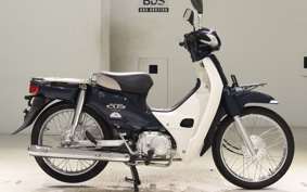 HONDA C110 SUPER CUB