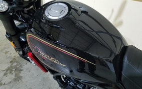 HARLEY X500 2024 W5B