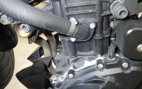 YAMAHA MT-25 2021 RG10J