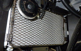 SUZUKI GSX250 R