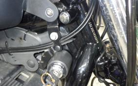 HARLEY XL883N 2013