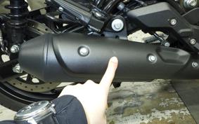 OTHER +ENFIELD HUNTER350 2023