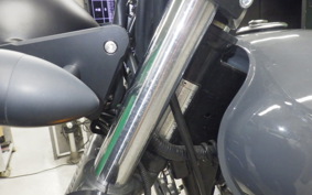 OTHER +MUTTｻﾊﾞｽ250