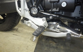 BMW R12 2024
