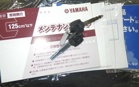 YAMAHA CYGNUSｸﾞﾘﾌｧｽ 2009 SEJ4J