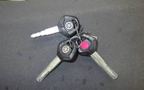 YAMAHA TENERE 700 2021 DM09J