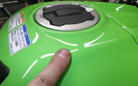 KAWASAKI ZX 10 NINJA ABS 2024 ZXT02L